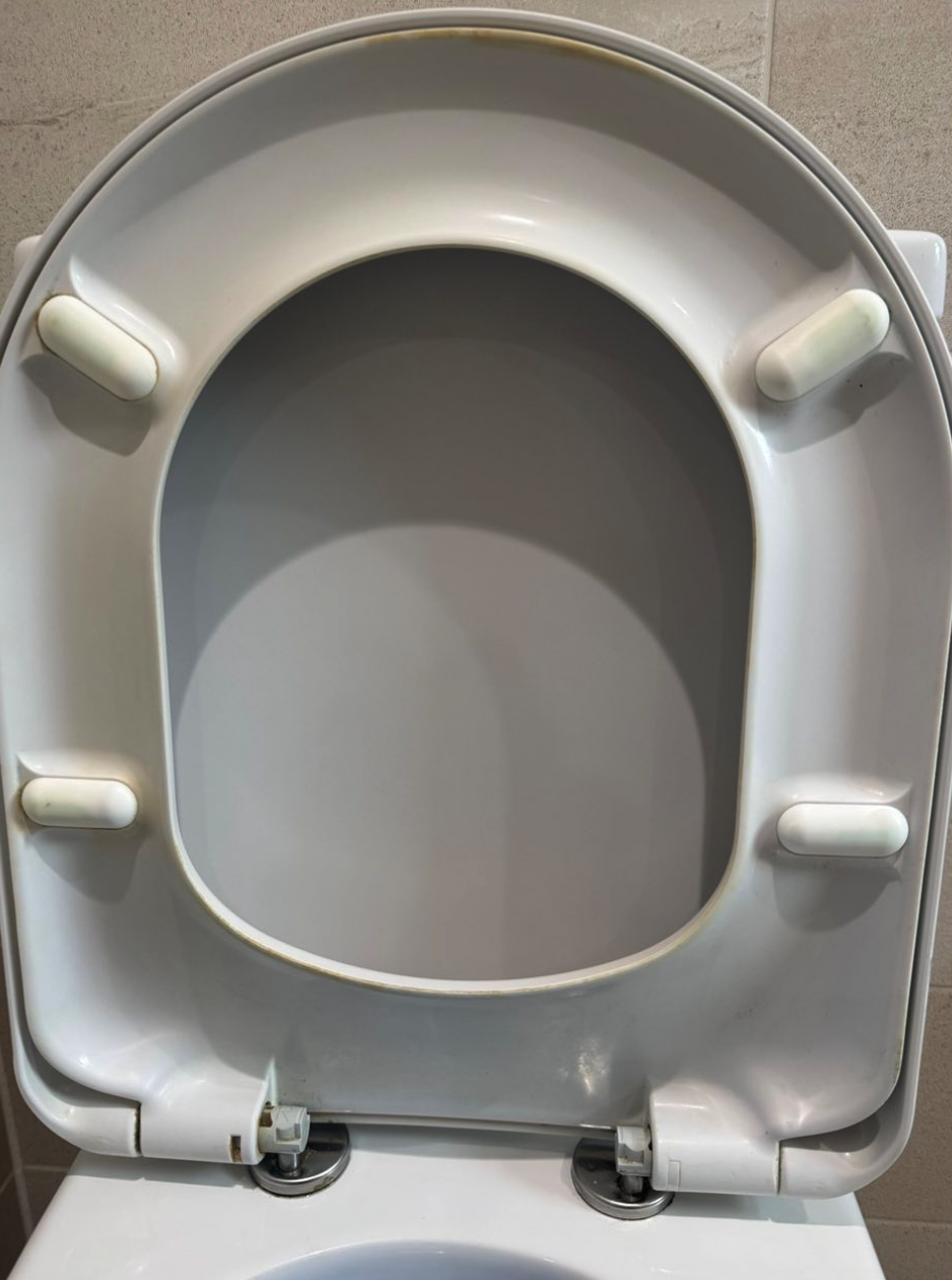 Spotless toilet after cleaning